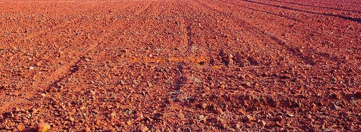 Soil Testing & Analysis Soil Testing & Analysis